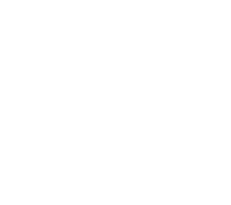 A Plus Personal Home Support Logo